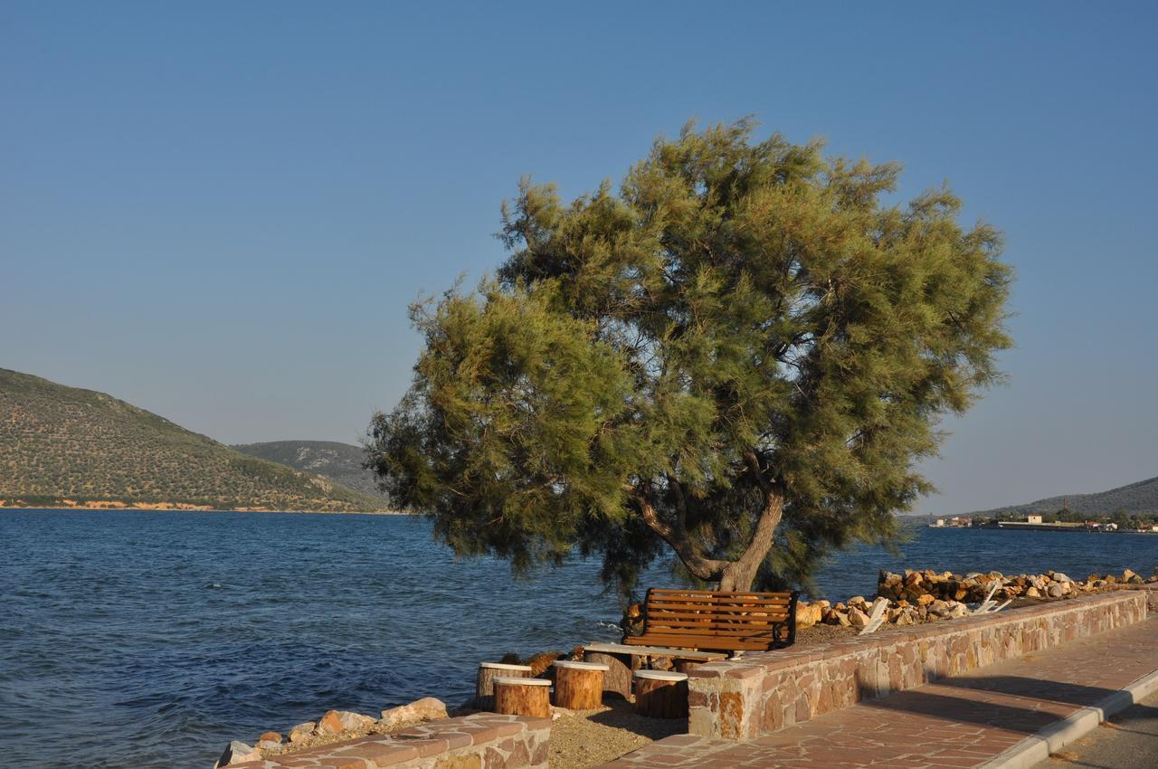 Ariadnes Holiday Accommodation Apidias Lakos Екстер'єр фото