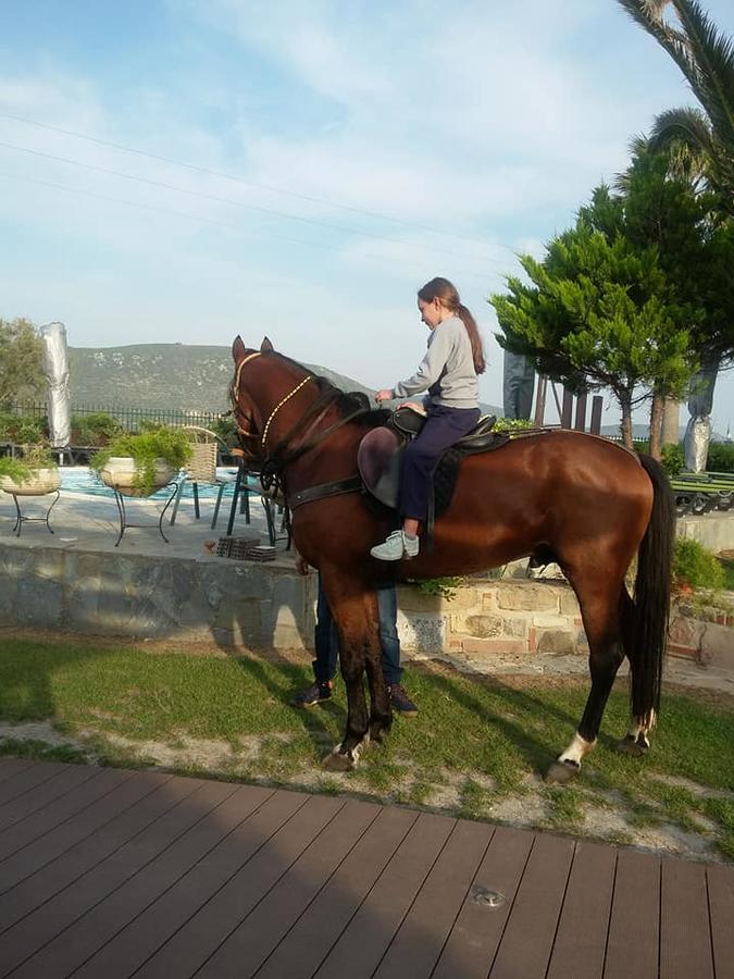 Ariadnes Holiday Accommodation Apidias Lakos Екстер'єр фото
